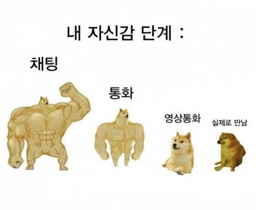 내성적이거나 소심한 사람의 자신감 단계