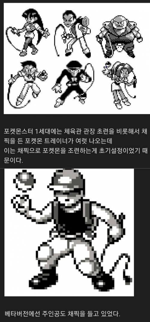 동심 파괴하는 포켓몬 초기 설정.jpg