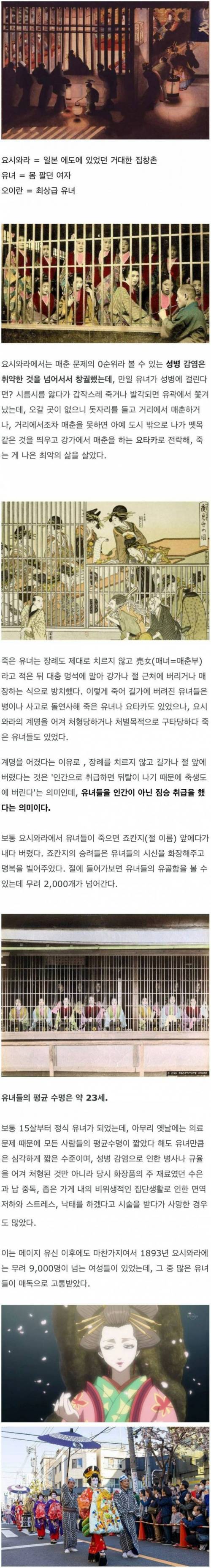 평균 수명 약 23세였던 일본 요시와라 유녀들