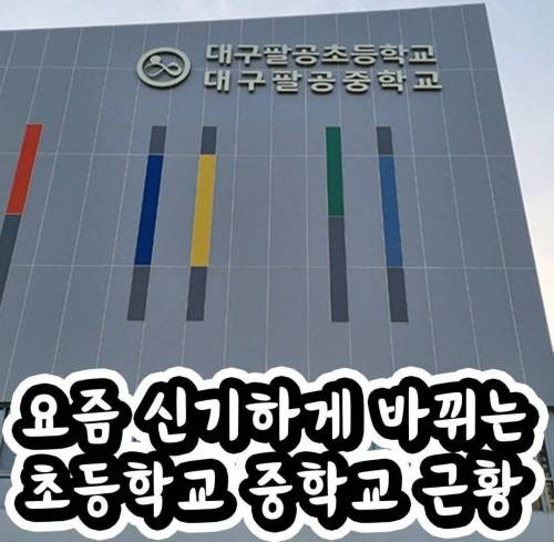 요즘 신기하게 바뀌는 초등학교 중학교 근황