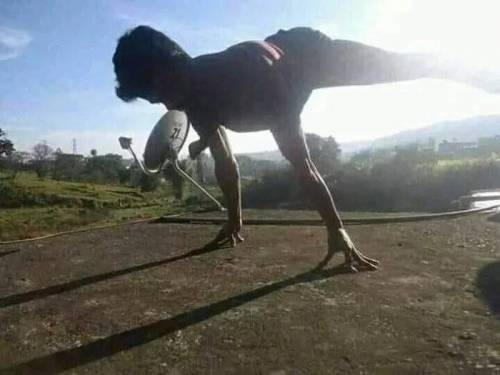 3초 티라노