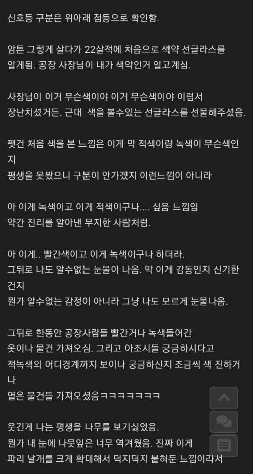 적녹색약이 색약 선글라스 처음 써본 후기