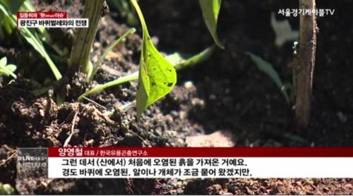 야산 흙때문에 초래한 광진구의 심각한 전쟁.jpg