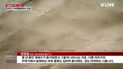 야산 흙때문에 초래한 광진구의 심각한 전쟁.jpg