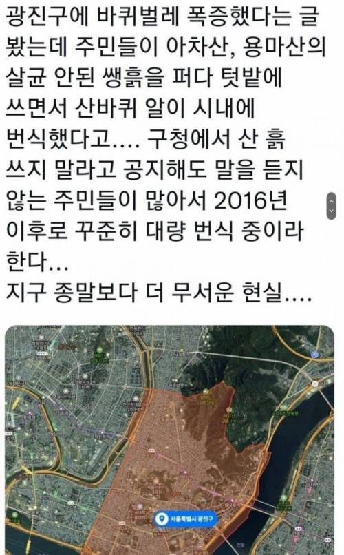 야산 흙때문에 초래한 광진구의 심각한 전쟁.jpg