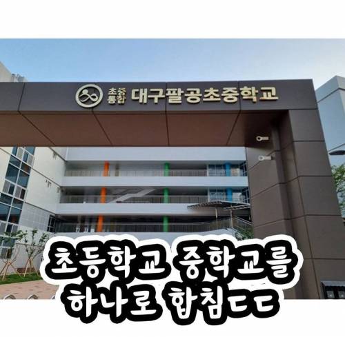 요즘 신기하게 바뀌는 초등학교 중학교 근황