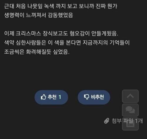 적녹색약이 색약 선글라스 처음 써본 후기