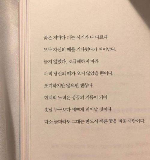 인생에 언제 전성기가 올지 아무도 몰라요