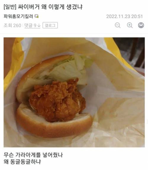 싸이버거 절망편