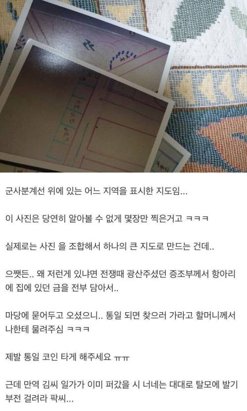 누구보다 통일을 간절히 바라는 펨코인
