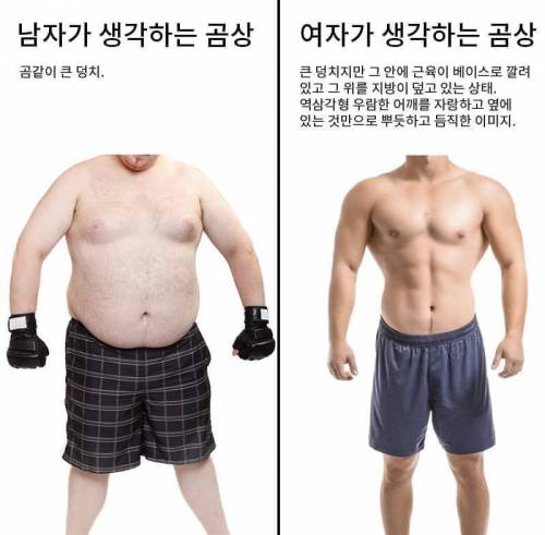 남자들이 착각한다는 곰같은 남자