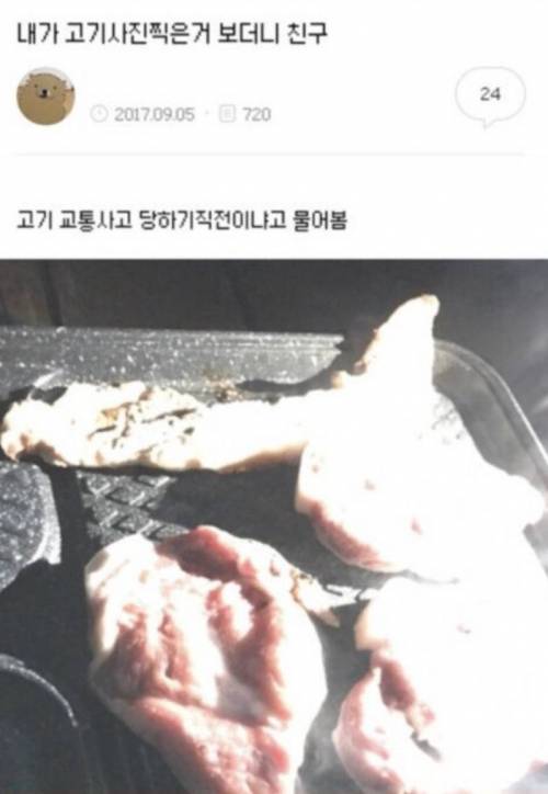 내가 고기사진 찍은거 보더니