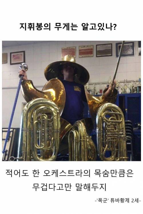 모든 악기를 파는 튜바 판매점