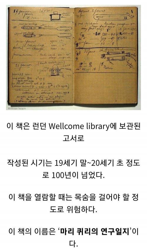 현실에 존재하는 읽은 사람이 죽을 수 있는 마도서