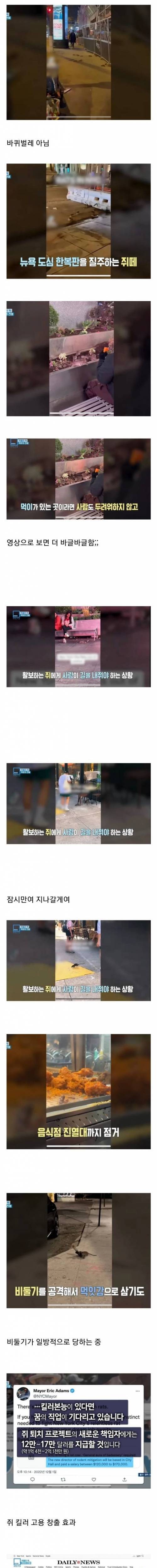 뉴욕 근황.jpg