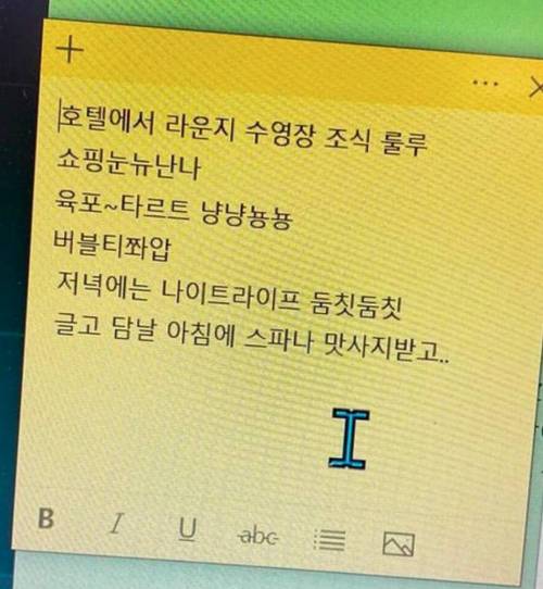 J가 보고 기절한 P의 여행계획