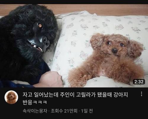내기준 썸네일 어그로 가장 잘 끄는 유튜브 갑