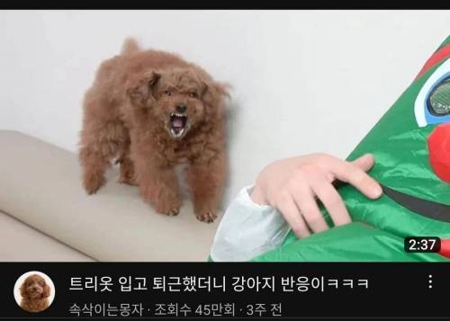 내기준 썸네일 어그로 가장 잘 끄는 유튜브 갑
