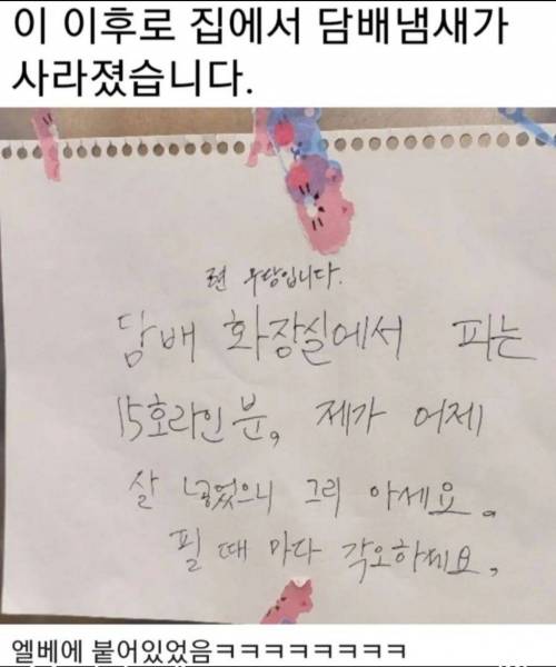 이 이후로 집에서 담배 냄새가 사라졌어요