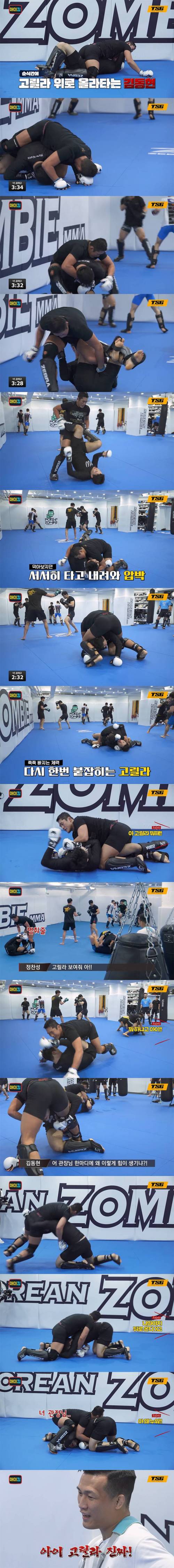 UFC 김동현vs 좀비트립 고릴라 스파링 대결 ㄷㄷ....jpg