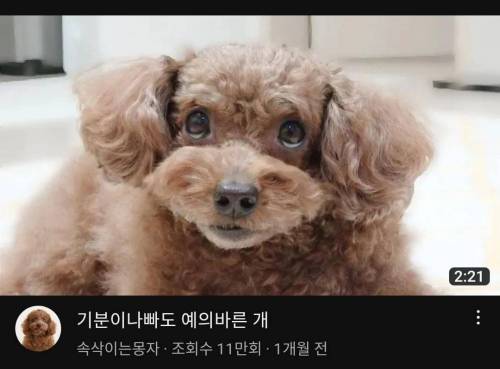 내기준 썸네일 어그로 가장 잘 끄는 유튜브 갑