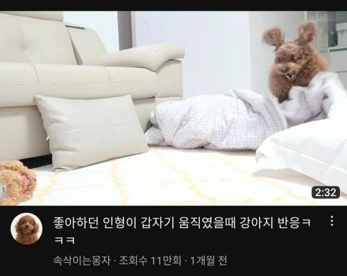 내기준 썸네일 어그로 가장 잘 끄는 유튜브 갑