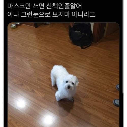 무언의 산책신호
