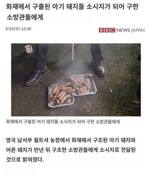 몸으로 갚겠습니다.jpg