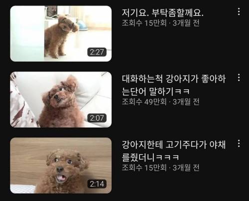 내기준 썸네일 어그로 가장 잘 끄는 유튜브 갑