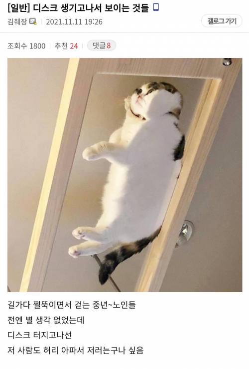 허리디스크가 파열되고 나서야 보이는 것들