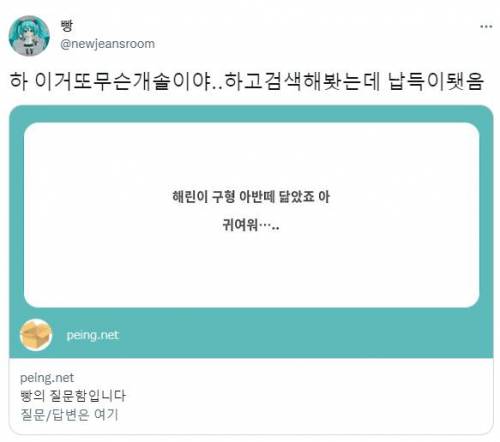 뉴진스 해린 의외의 닮은꼴