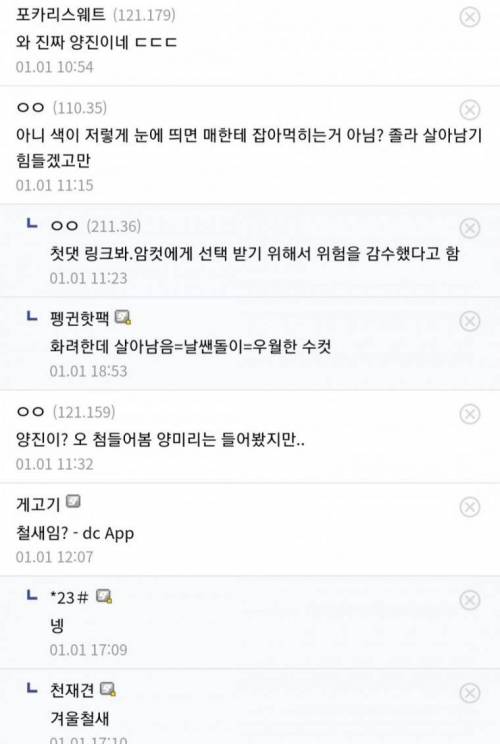 뒷산에서 핑크색 참새 봤다는 조류갤러.jpg