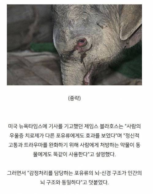 어미에게 버림 받은 새끼의 반응