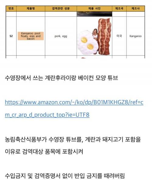 놀랍게도 수입이 금지되었었던 물건.jpg