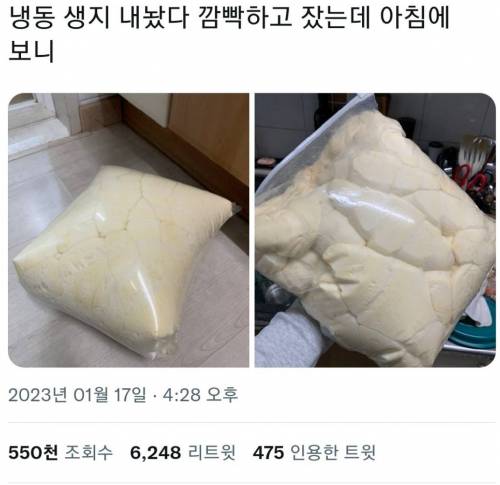 냉동 생지 내놨다 깜빡했는데 아침에 보니