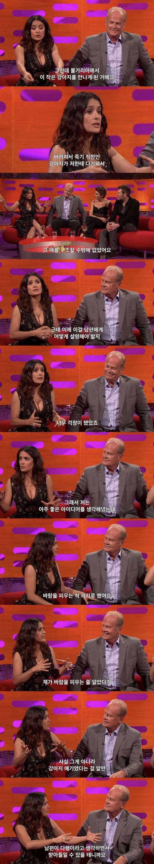 배우 셀마 헤이엑의 유기견 구조썰.jpg