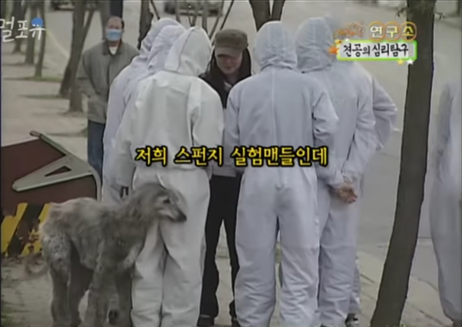 요즘은 못따라가는 공중파 광기.jpg