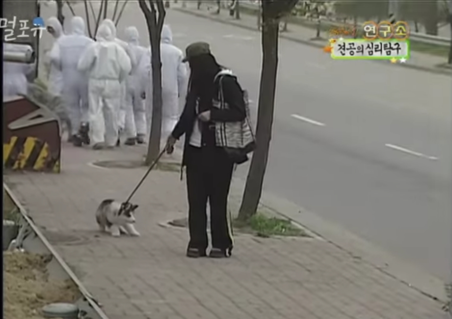 요즘은 못따라가는 공중파 광기.jpg