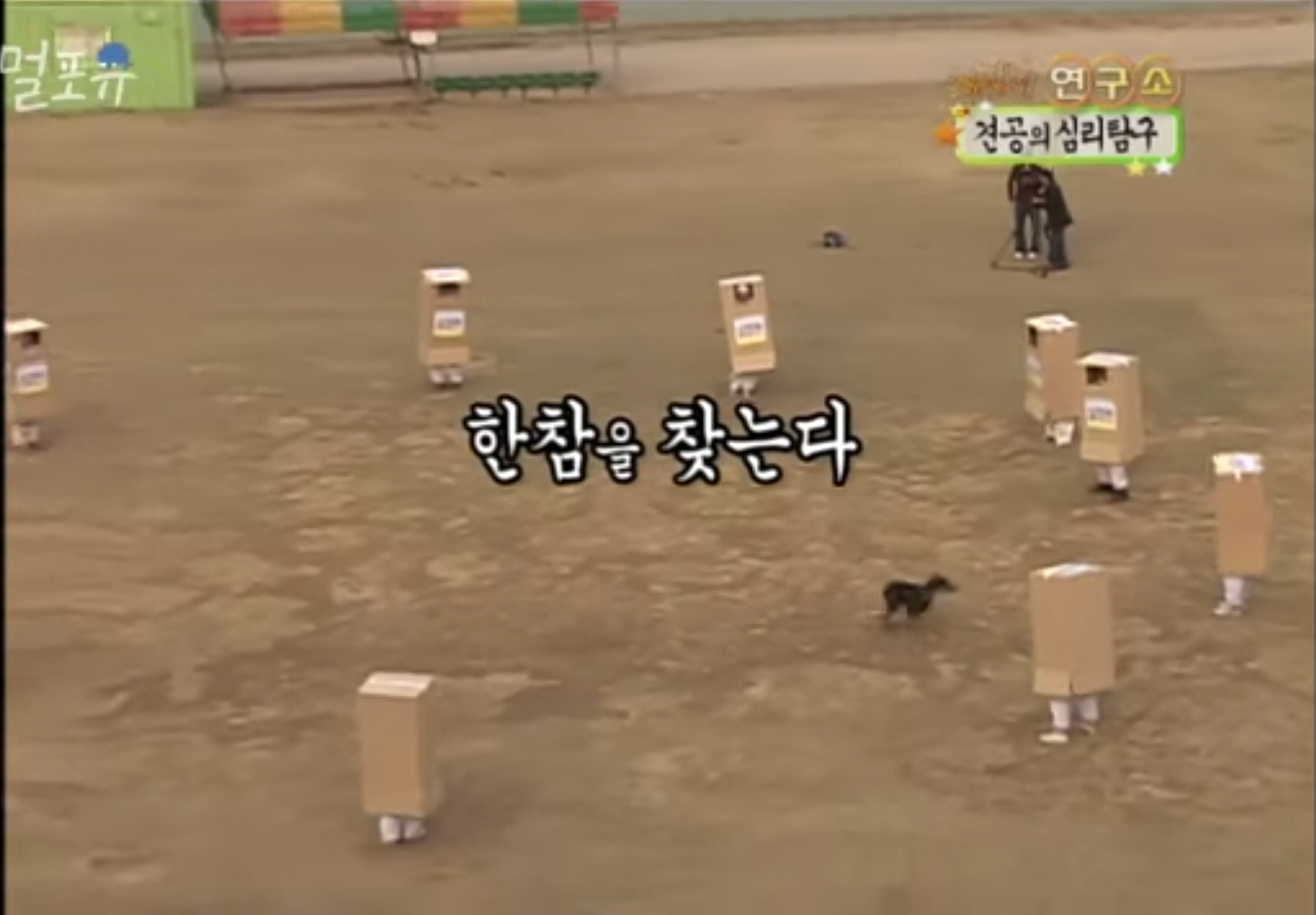 요즘은 못따라가는 공중파 광기.jpg