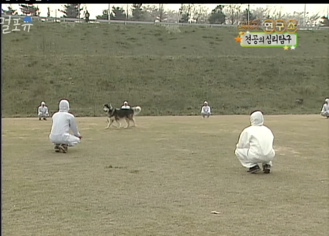 요즘은 못따라가는 공중파 광기.jpg