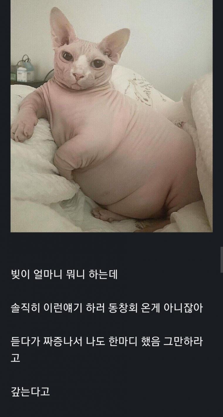 10년만에 동창회 갔는데 다들 돈 얘기 뿐이네..jpg