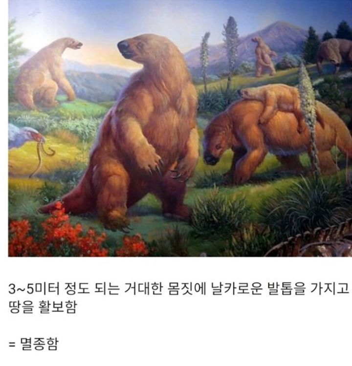 진화란? 생각보다 별거아니라고 알려준 동물