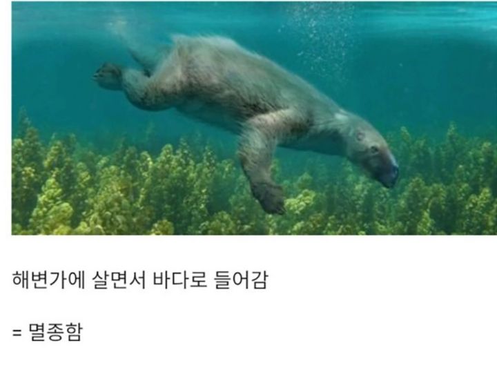 진화란? 생각보다 별거아니라고 알려준 동물