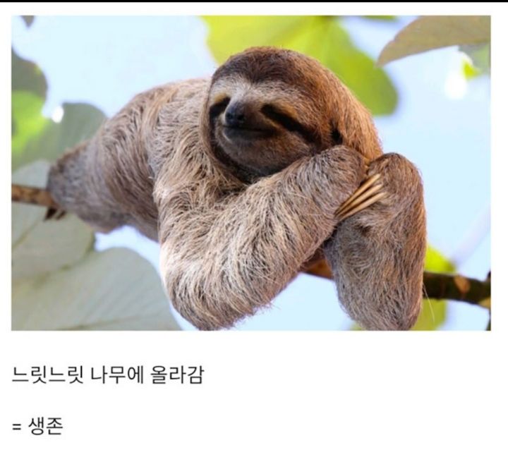 진화란? 생각보다 별거아니라고 알려준 동물