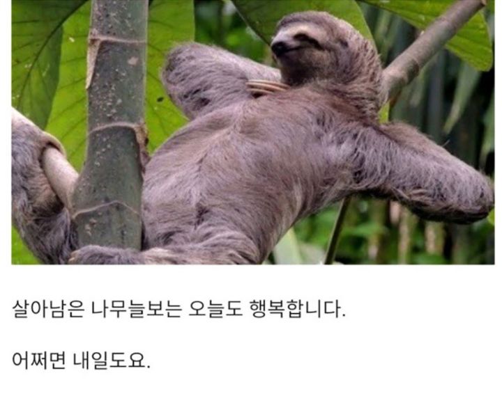 진화란? 생각보다 별거아니라고 알려준 동물