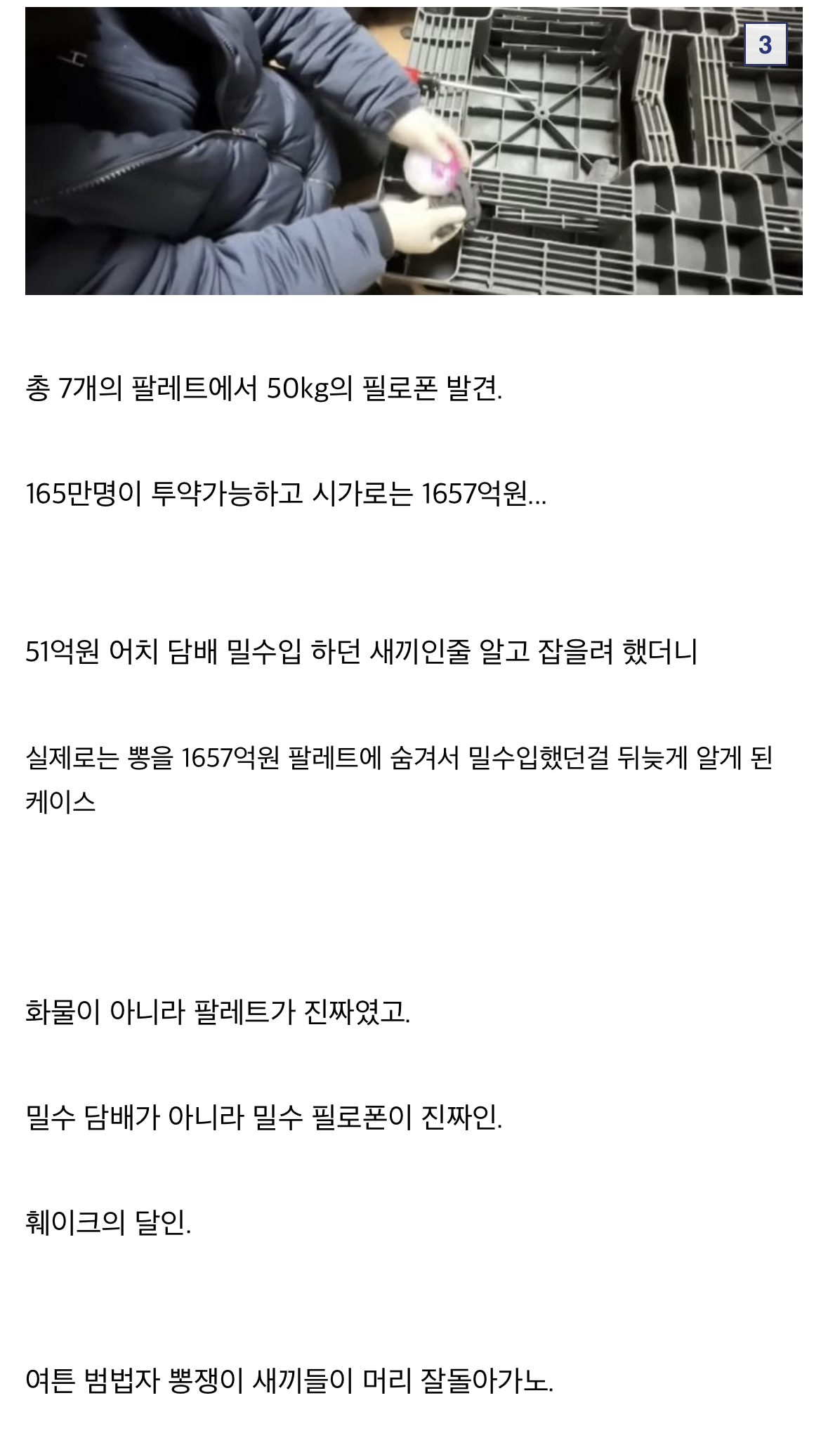 국내 마약 밀수범 단속.jpg