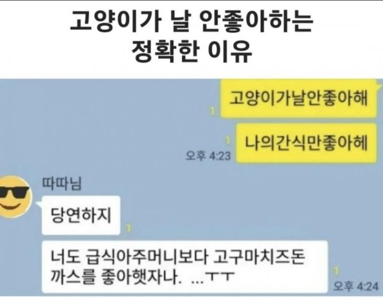 고양이가 날 안좋아하는 이유