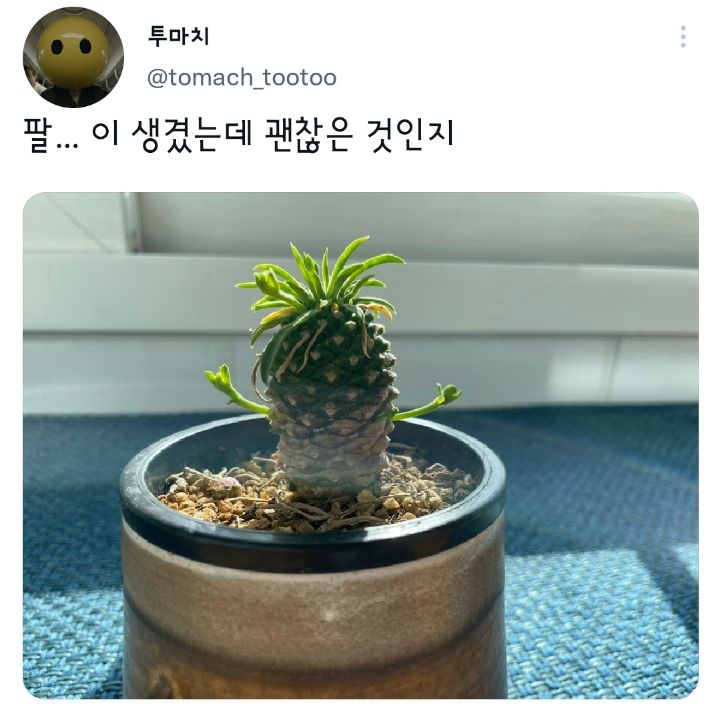 팔이 생겼는데 괜찮은 것인지.jpg