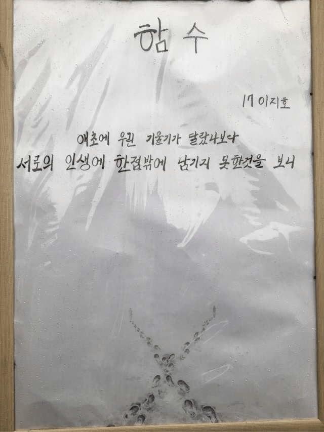 “함수” 로 만든 감성 시