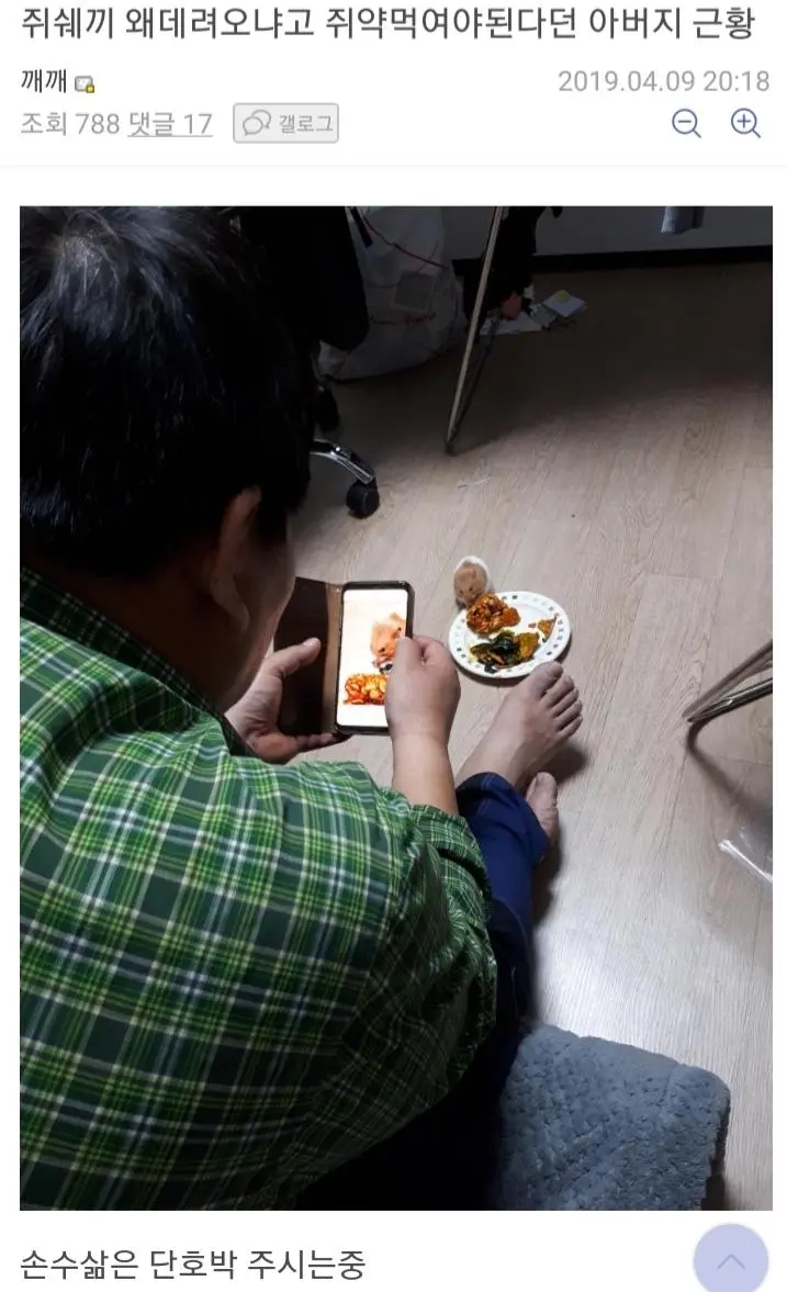 햄스터 데려오면 쥐약 먹인다는 아버지